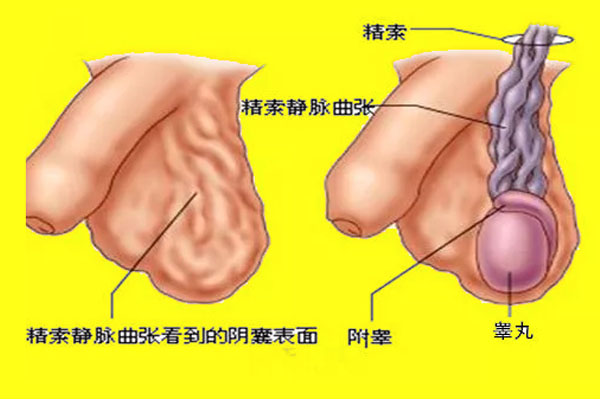 男科疾病咨詢，南昌男科疾病治療醫(yī)院_第51頁