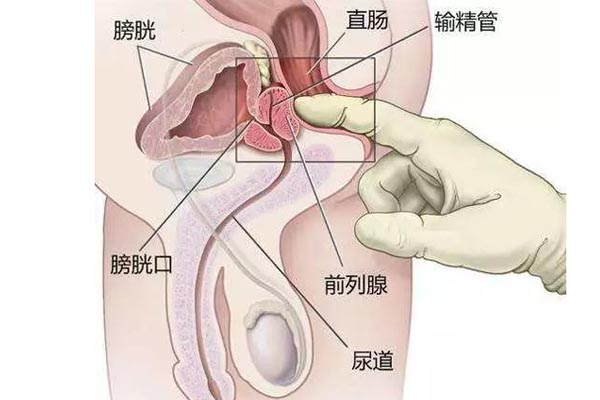 南昌男性性功能障礙醫(yī)院_第3頁(yè)_南昌男科?？漆t(yī)院排名榜-南昌男科?？漆t(yī)院-南昌首大醫(yī)院